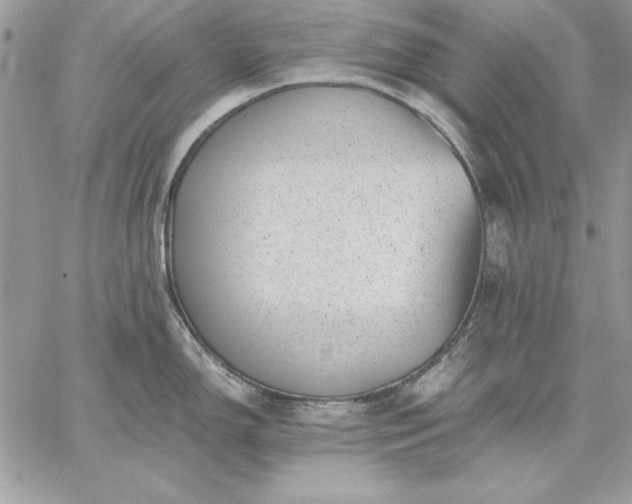 X0000059091150200510172048