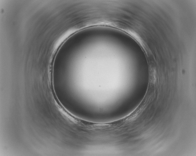 X0000059091151200510172048