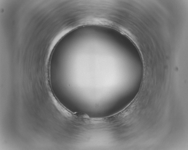 X0000059091152200510172048