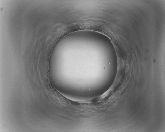 X0000059091153200510172047