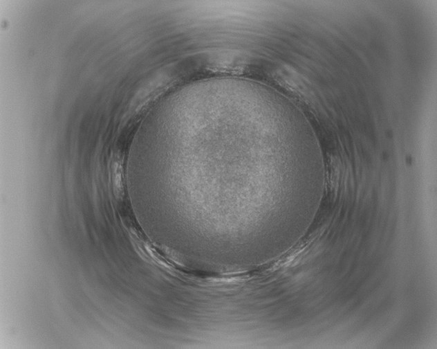 X0000059091154200510172047