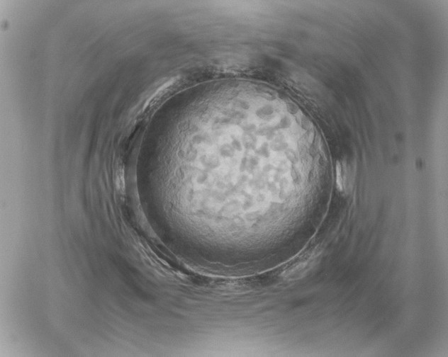 X0000059091155200510172047