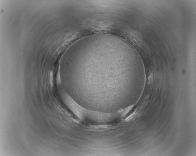 X0000059091156200510172047