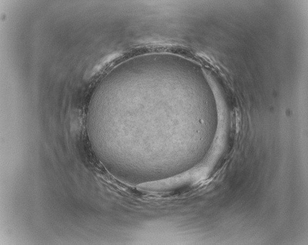 X0000059091157200510172047