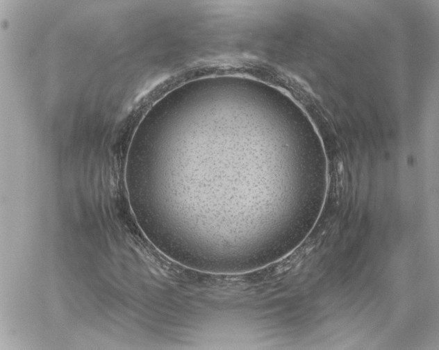 X0000059091158200510172047