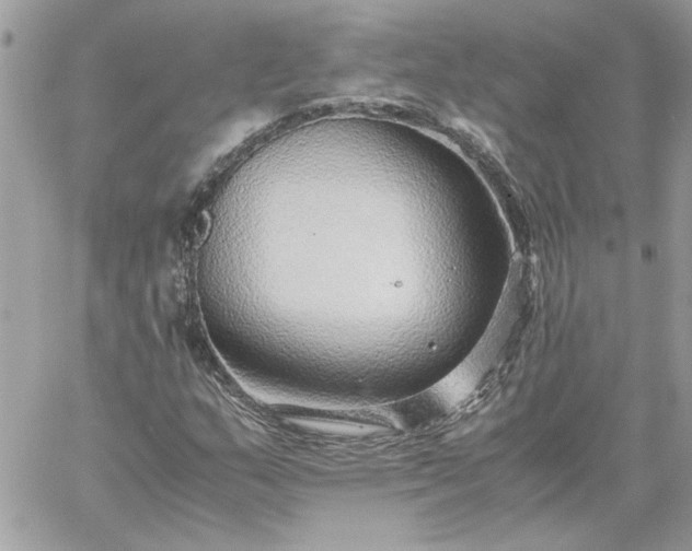 X0000059091159200510172047