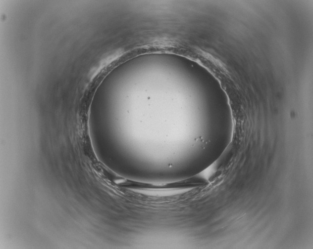 X0000059091160200510172047