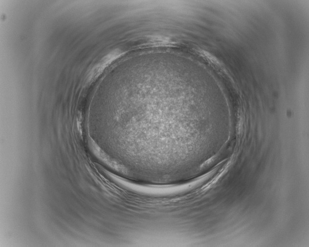 X0000059091161200510172047