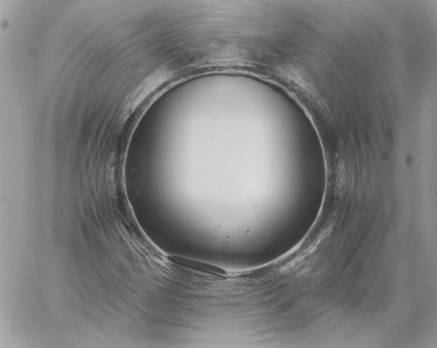 X0000059091162200510172047