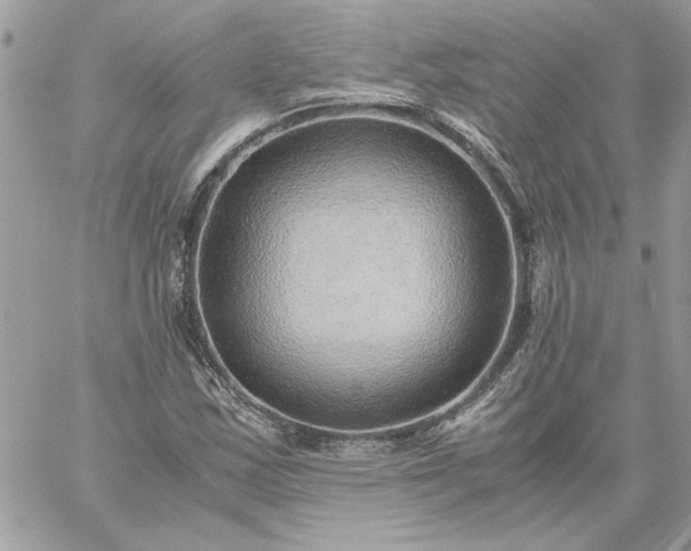 X0000059091163200510172047