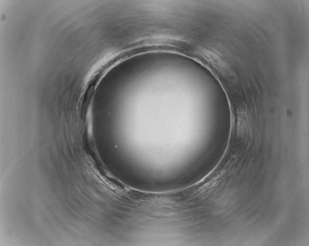 X0000059091164200510172047