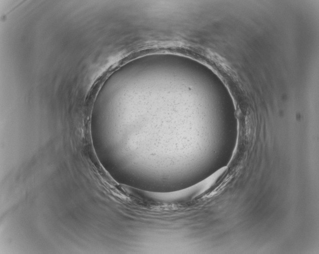 X0000059091165200510172047