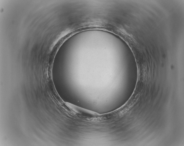 X0000059091166200510172047