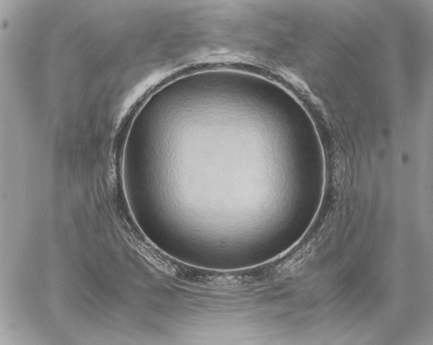 X0000059091167200510172047