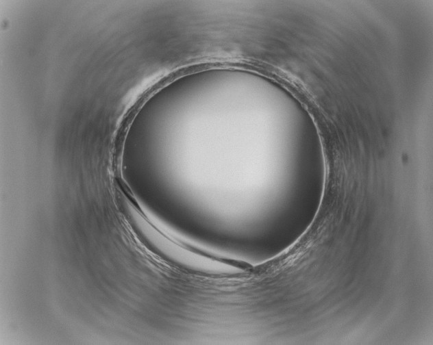 X0000059091168200510172047