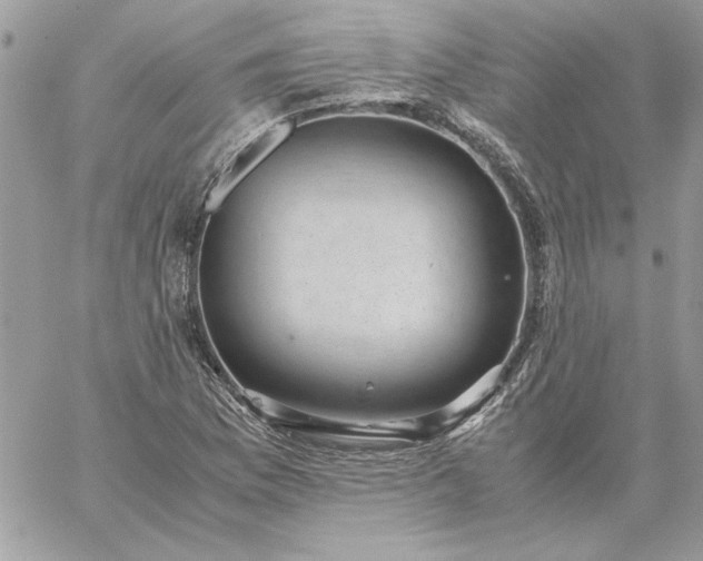 X0000059091169200510172047