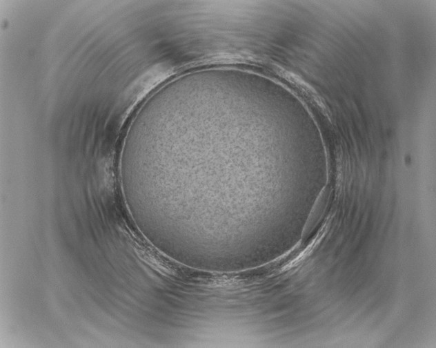 X0000059091170200510172047