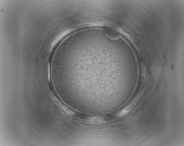 X0000059091171200510172047