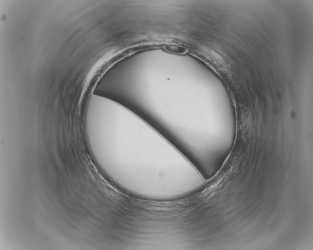 X0000059091172200510172047