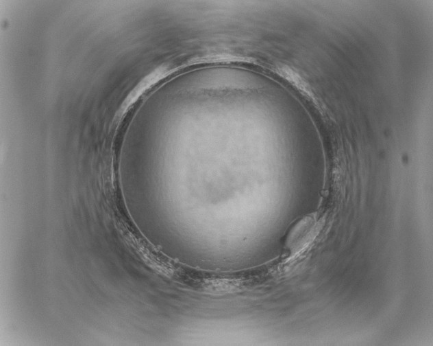 X0000059091173200510172047