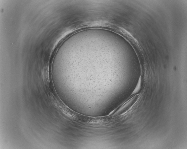 X0000059091174200510172047