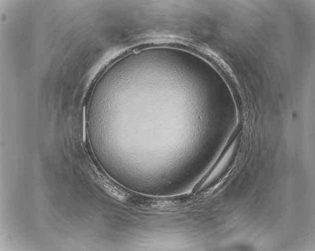 X0000059091175200510172047