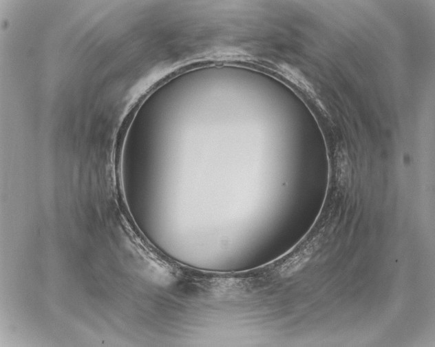 X0000059091176200510172047