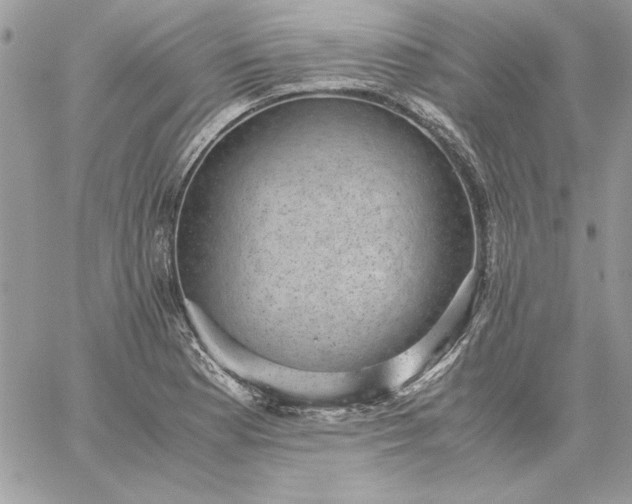 X0000059091177200510172047