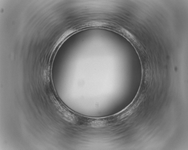 X0000059091178200510172047