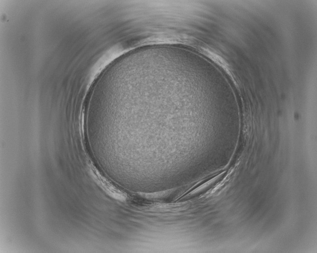 X0000059091179200510172047