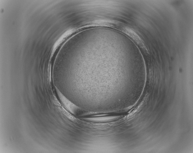 X0000059091180200510172047