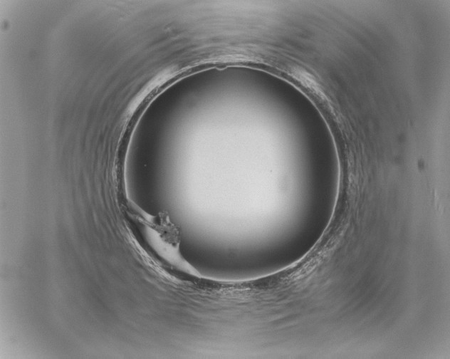 X0000059091181200510172047