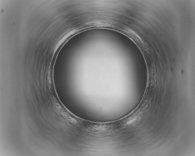 X0000059091182200510172047