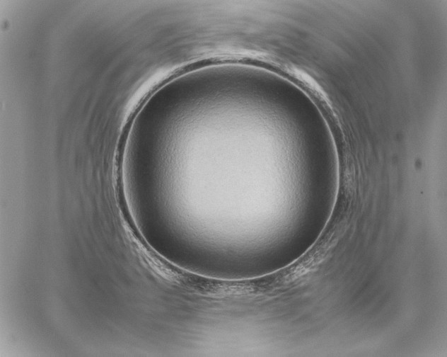 X0000059091183200510172047