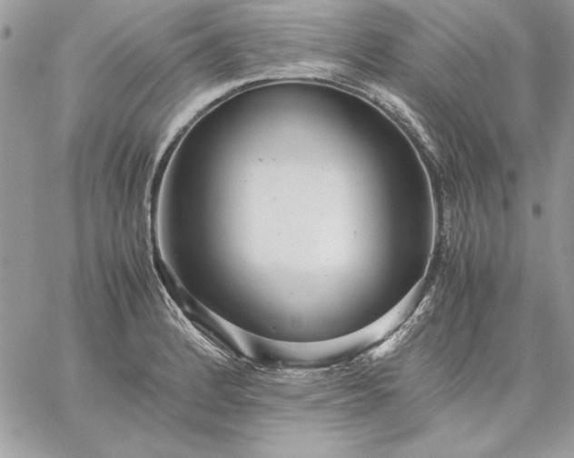 X0000059091184200510172047