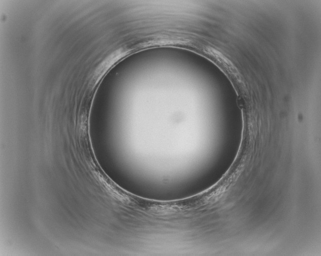 X0000059091185200510172047