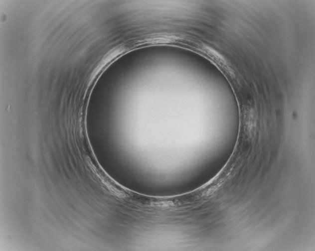 X0000059091186200510172047