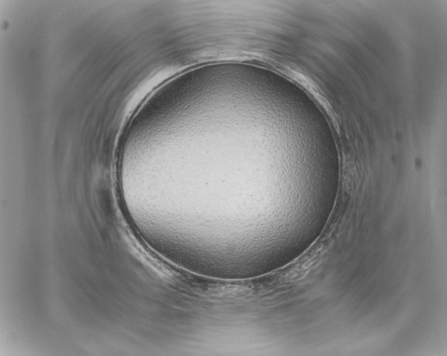 X0000059091187200510172047