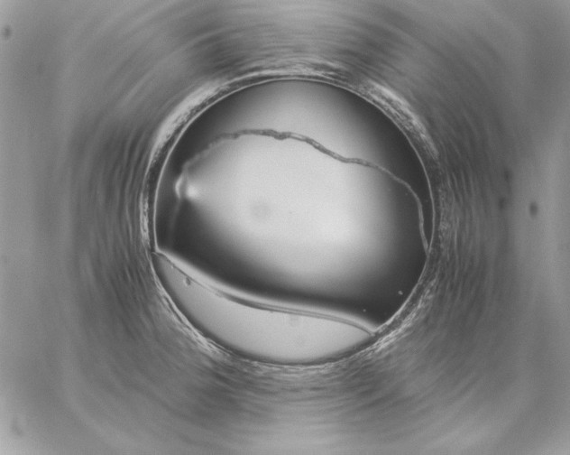 X0000059091188200510172047