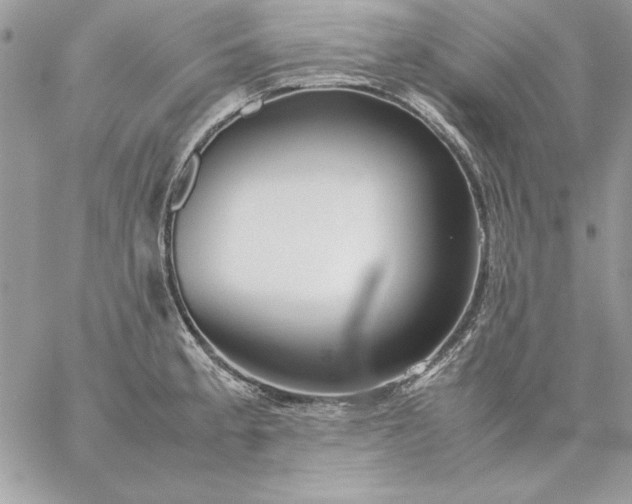 X0000059091189200510172047