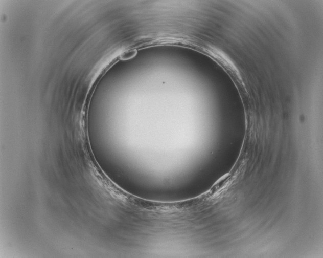 X0000059091190200510172047