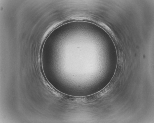 X0000059091191200510172047