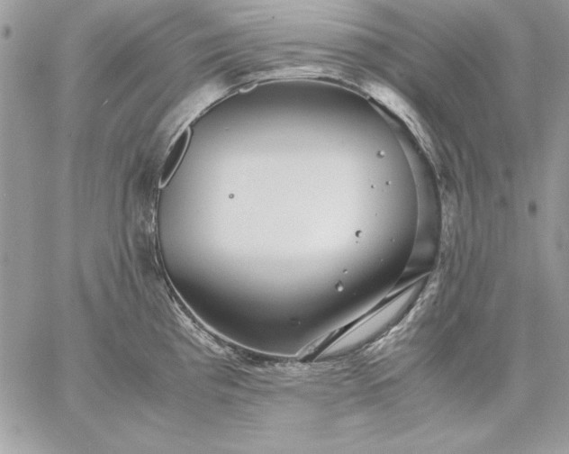 X0000059091193200510172047