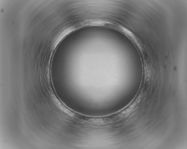 X0000059091194200510172047