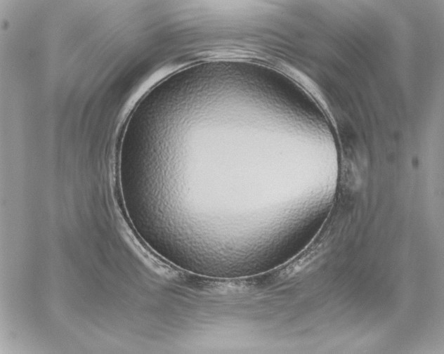 X0000059091195200510172047