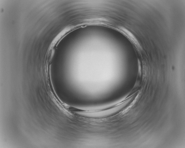 X0000059091196200510172047