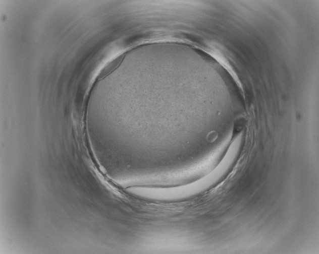 X0000059091197200510172047