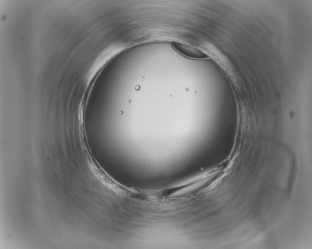 X0000059091198200510172047