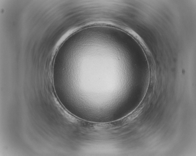 X0000059091199200510172047