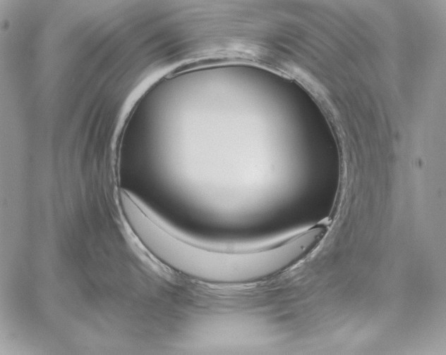 X0000059091200200510172047